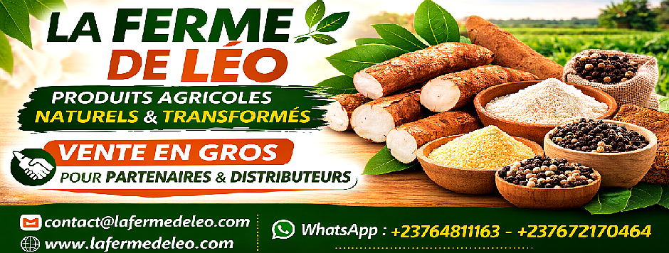 lafermedeleo.com - affiche (15).png