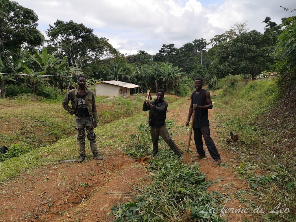 Les jeunes de Nkolnyama en action sociale-La ferme de Léo Cameroun 2020