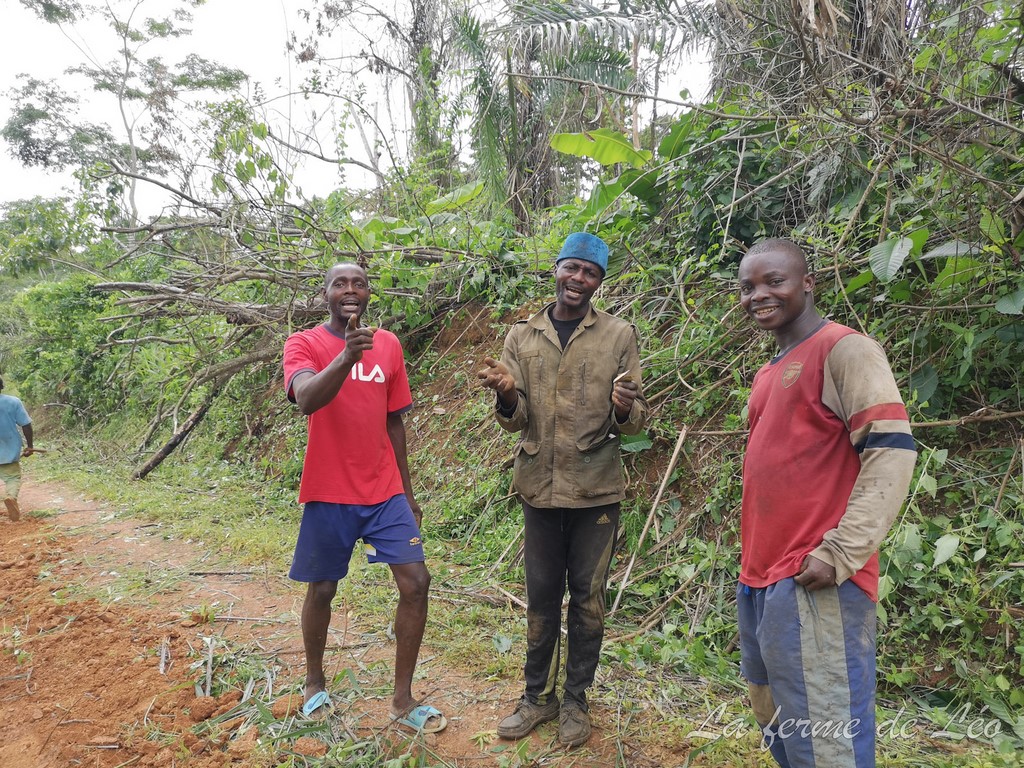 Les jeunes de Nkolnyama en action sociale-La ferme de Léo Cameroun 2020