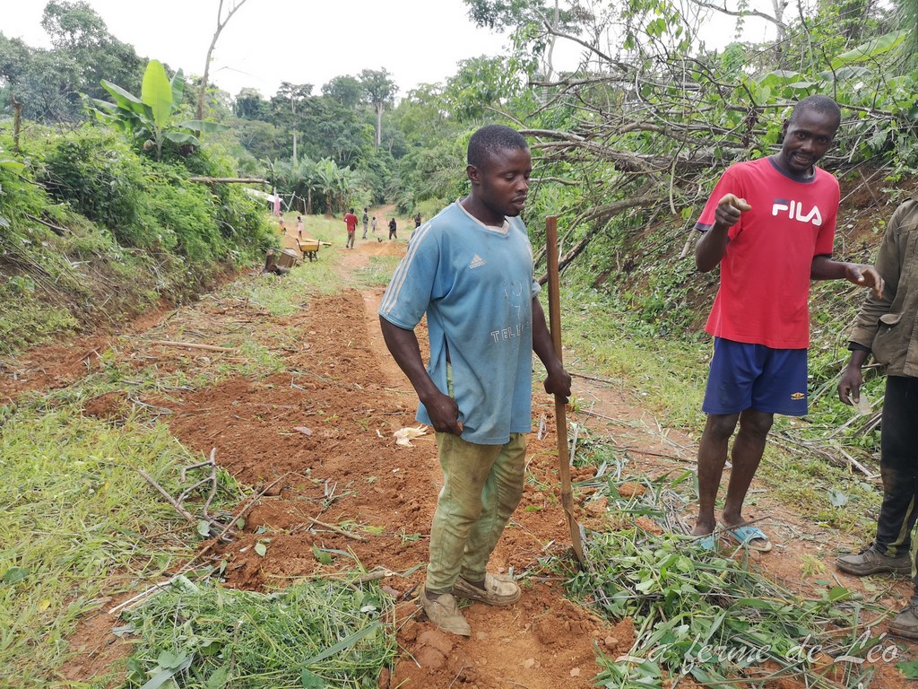 Les jeunes de Nkolnyama en action sociale-La ferme de Léo Cameroun 2020