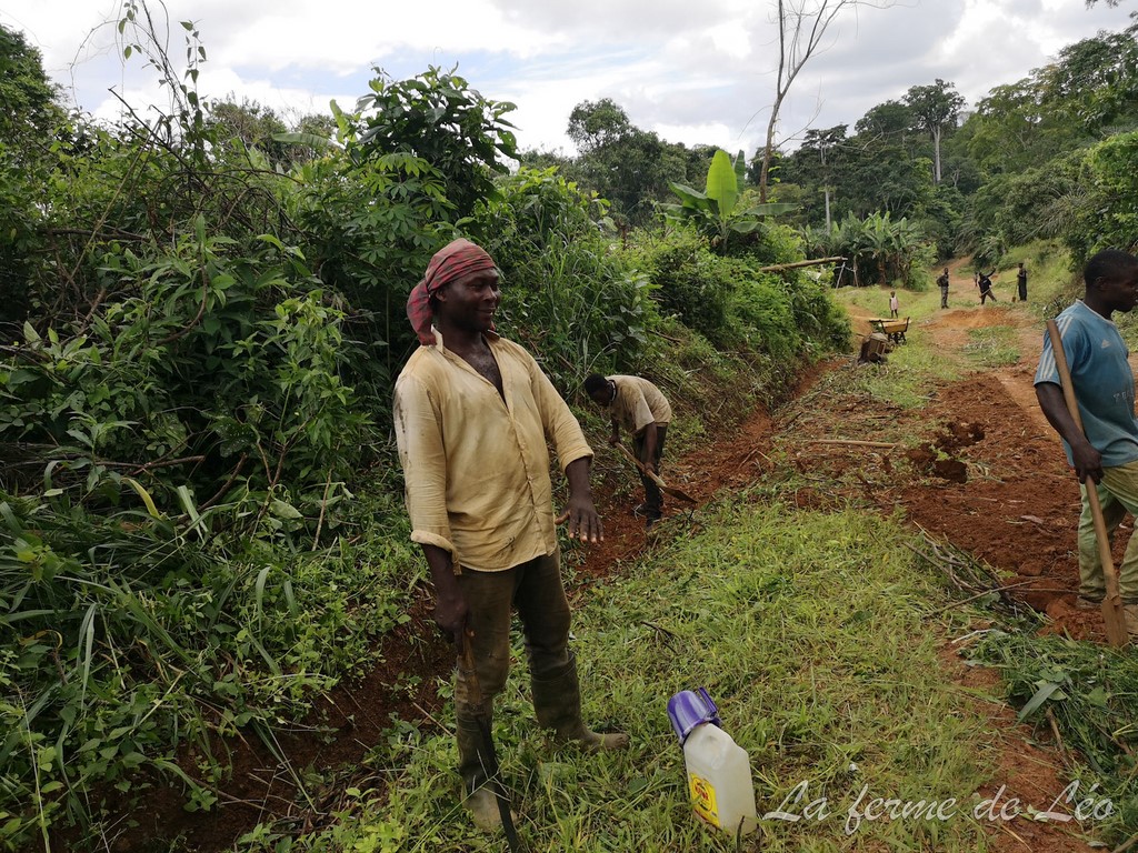 Les jeunes de Nkolnyama en action sociale-La ferme de Léo Cameroun 2020
