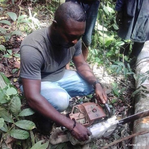 La ferme de Léo-LFDL-Cameroun_2019,Nkoumadzap,