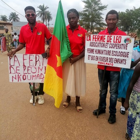 La ferme de Léo-LFDL-Cameroun_2019,Mbalamyo,ADANS