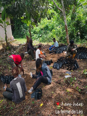 La ferme de Léo Cameroun