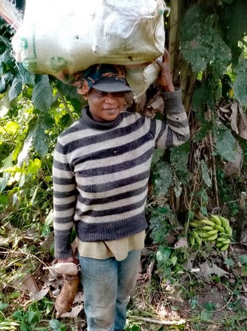 Recherche partenaires, Manioc, La ferme de Léo-Cameroun,Nkoumadzap,