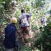 La ferme de Leo, divers travaux