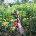 La ferme de Leo, divers travaux