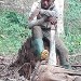 La ferme de Leo, divers travaux