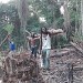 La ferme de Leo, divers travaux