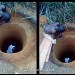 La ferme de Leo, divers travaux