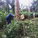 La ferme de Leo, divers travaux