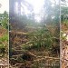 La ferme de Leo, divers travaux