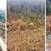 La ferme de Leo, divers travaux
