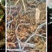 La ferme de Leo, divers travaux